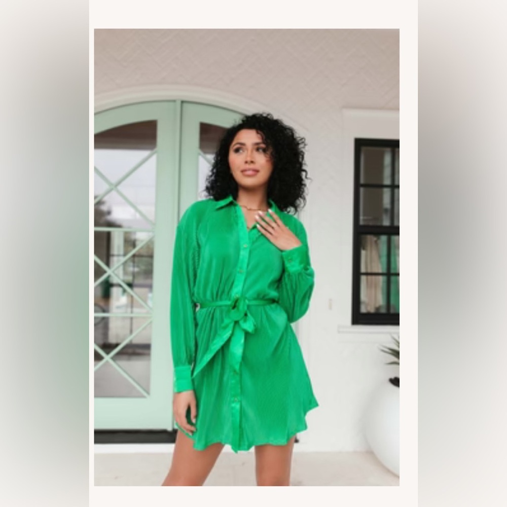 The Post- sold out online! Camille Plisse Dress
Green / Small